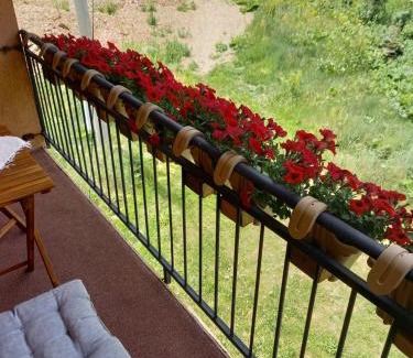 Mavrovo Apartment | Discover Apartment Suzana: Family-Friendly with Hot Tub