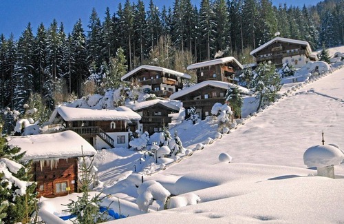Reith im Alpbachtal Apartment | Exclusive Apartment F at Gustl's Hütte with Pool & Spa