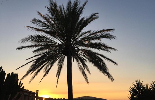 Son Macia Apartment | Relaxing Retreat: Apartment Tejado - 4-Star Adults Only