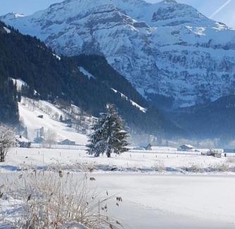 Lenk Apartment | Family-Friendly Apartment Teleboy: Pet Welcoming Retreat