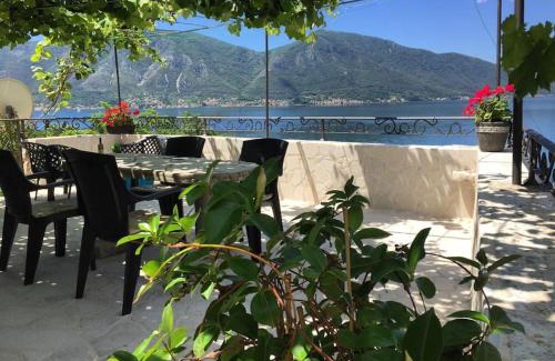 Ljuta Apartment | Pet-Friendly Apartment Terazza Di Ljuta with Top Reviews