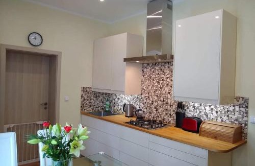 Marianske Lazne Apartment | Top-Rated Family and Pet-Friendly Apartment Terry Awaits