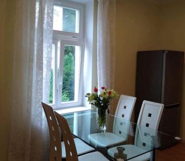 Marianske Lazne Apartment | Top-Rated Family and Pet-Friendly Apartment Terry Awaits