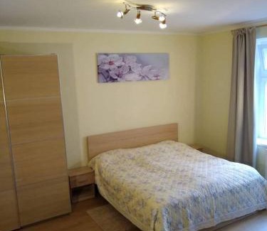 Marianske Lazne Apartment | Top-Rated Family and Pet-Friendly Apartment Terry Awaits