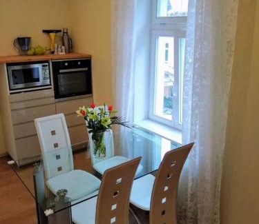 Marianske Lazne Apartment | Top-Rated Family and Pet-Friendly Apartment Terry Awaits