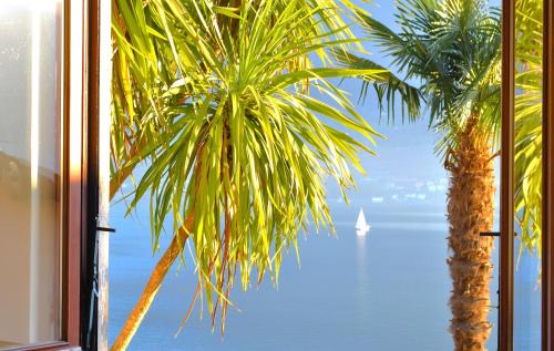 Sala Comacina Apartment | Cozy Apartment The Palm with Garden – Pet & Child Friendly