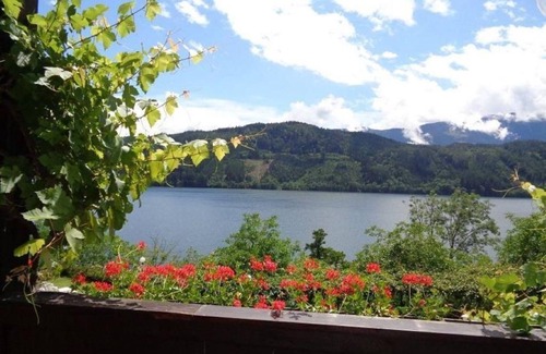 Millstatt Bed & Breakfast | Comfortable Apartment IIa at Pension Sedlak with Kitchen