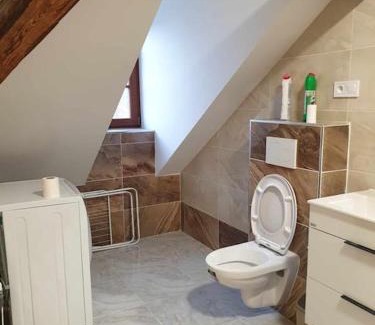 Ostrov Apartment | Cozy Apartment U Černého Orla - Family & Pet Friendly Stay