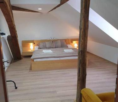 Ostrov Apartment | Cozy Apartment U Černého Orla - Family & Pet Friendly Stay