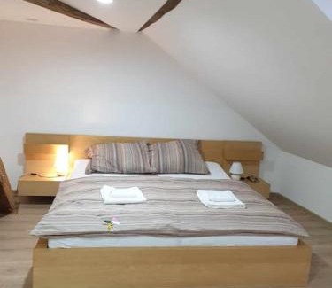 Ostrov Apartment | Cozy Apartment U Černého Orla - Family & Pet Friendly Stay