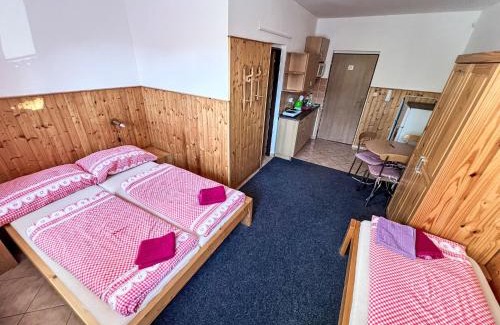 Janske Lazne Apartment | Apartment U Švýcarského dvora II by Interhome