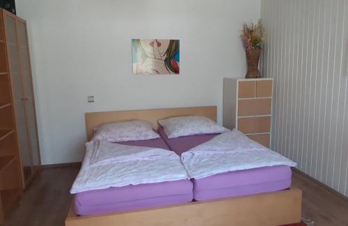 Liesing Apartment | Family-Friendly Escape at Apartment Vanka - 10/10 Rated