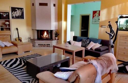 Marianske Lazne Apartment | Top-Rated Apartment Villa Frank with Breakfast & Child Care