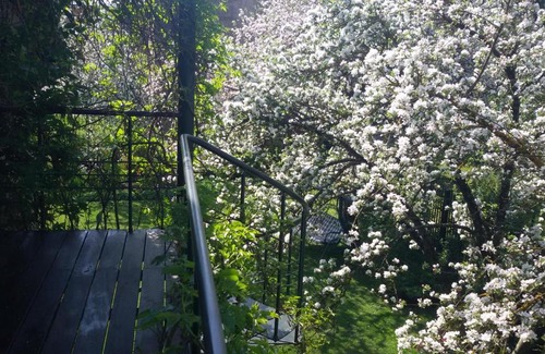 Pleskodale Apartment | Family-Friendly Apartment on Volguntes Street - Rated 9/10