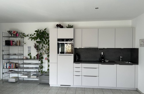 Ludwigshafen Apartment | Idyllic Apartment with Terrace and Garden by the Lake
