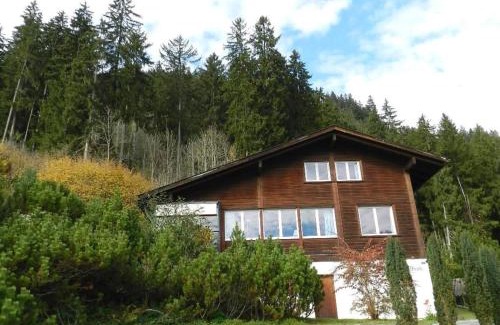 Zweisimmen Apartment | Pet-Friendly Retreat: Apartment Weidli - Chalet Experience