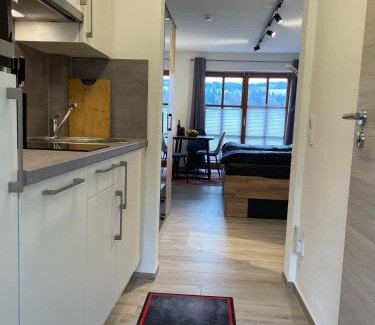 Obernzell Apartment | Scenic Apartment Griesbert Overlooking the Danube River