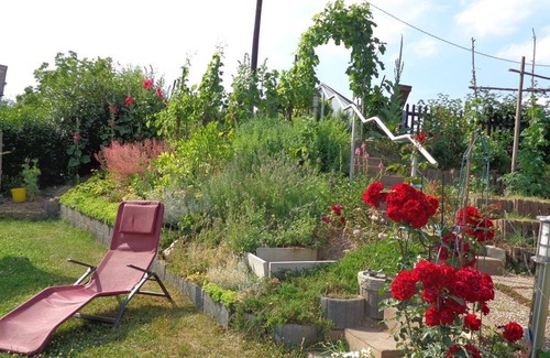 Zeltingen-Rachtig Apartment | Cozy Apartment with Balcony at Leo Werland-Ehses