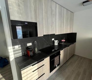 Dolni Morava Apartment | Apartment with a view of the ski slope