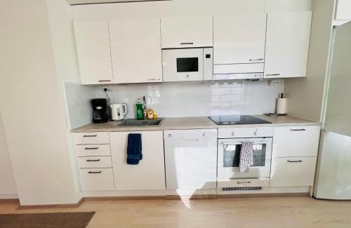 Aviapolis Apartment | Apartment with good location for families and groups