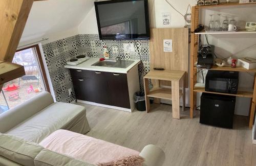 Apahida Apartment | City View Apartment: Pet-Friendly with Hot Tub Amenities