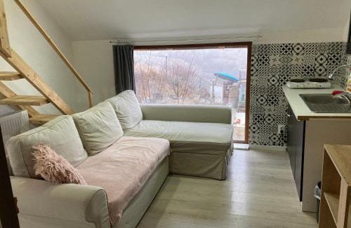 Apahida Apartment | City View Apartment: Pet-Friendly with Hot Tub Amenities