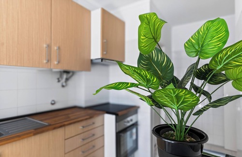 Parede Apartment | Apartment with sea view