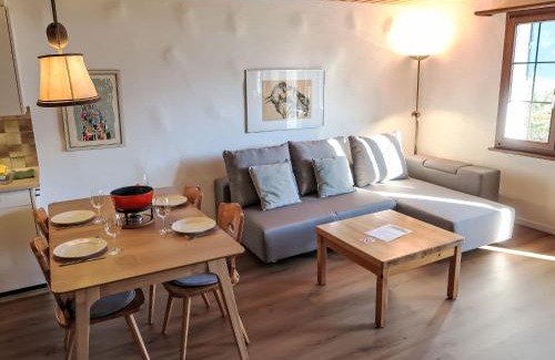 Schluein Apartment | Cozy Apartment Muotta Sulegl: Pet & Child Friendly Stays