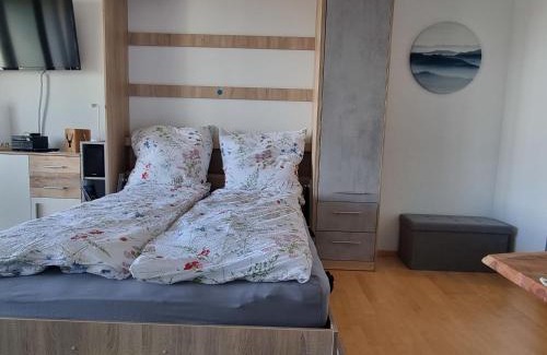 Hoechenschwand Apartment | Pet-Friendly Apartment Alpensicht with Private Pool Awaits
