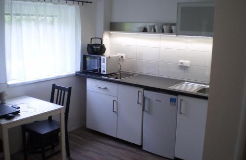 Belkovice-Lastany Apartment | Cozy Stay at Apartment Za Poštou with Hot Tub & Breakfast