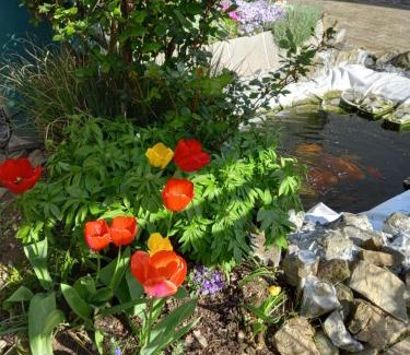 Maribor House | Family-Friendly Apartment Zorec with Great Reviews Awaiting You