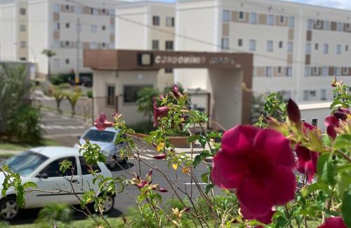 Jardim California Apartment | Pet-Friendly Apartment for Stay 18 in Tânger - Rated 9/10