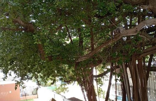 Santa Maria Apartment | Budget-Friendly Apartment Near Airport with Family Amenities