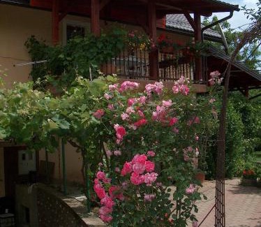 Catrnja Apartment | Pet-Friendly Retreat at Apartments Ana - 8.5/10 Rated Stay