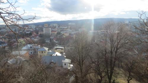 Truskavets Apartment | Comfortable Apartments with Sauna & Child-Friendly Amenities
