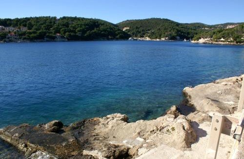 Sumartin Apartment | Seaside Apartments in Sumartin, Brac - Guest Rated 10/10