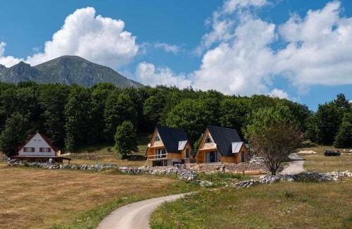 Virak Cabin | Pet-Friendly Apartments in the Heart of the City - 10/10 Rated