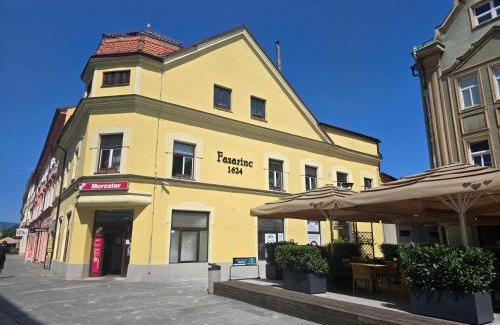 Celje Apartment | Fazarinc Apartments with Parking and Pet-Friendly Amenities