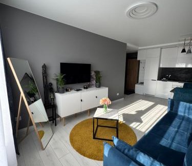 Siauliai City Center Apartment | Explore Prime Apartments in Šiauliai City Center