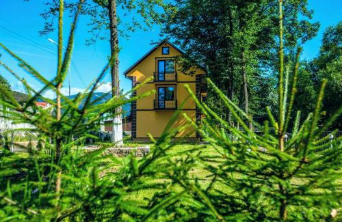 Polyana Apartment | Pet-Friendly Apartments in Polyana with Outstanding 9.3 Rating