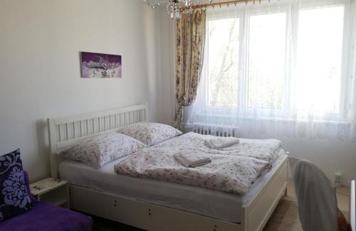 Marianske Lazne Apartment | Family-Friendly Apartments Meixner with Great Amenities