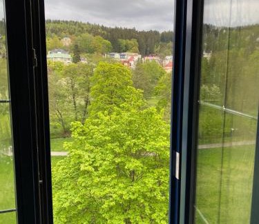 Marianske Lazne Apartment | Budget-Friendly Apartments Merlin with Family & Pet Amenities