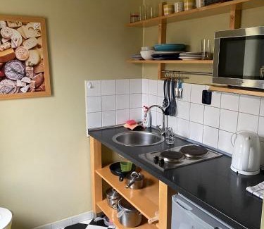 Marianske Lazne Apartment | Budget-Friendly Apartments Merlin with Family & Pet Amenities