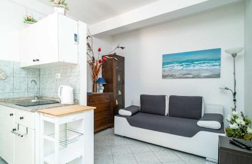 Lumbarda Apartment | Apartments Nikolina LU - One-Bedroom Apartment with Balcony