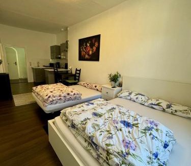 Oschatz Apartment | Cozy Einzimmerwohnung Oschatz - Perfect for Families