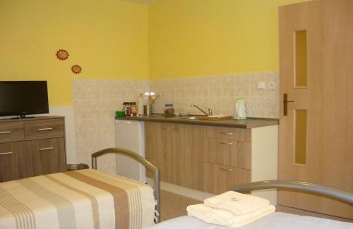 Hradec Kralove House | Guest Rated 10/10: Ideal Apartments at Penzion Lena