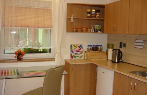 Hradec Kralove House | Guest Rated 10/10: Ideal Apartments at Penzion Lena