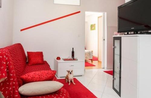 Babin Kuk Apartment | Apartments Pojko - Standard One-Bedroom Apartment with Terrace Red