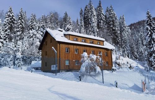 Pohorje Apartment | Pet-Friendly Apartments Rogla Jurgovo - Ski-In, Ski-Out Adventure