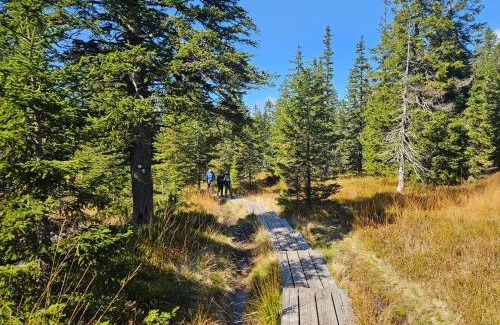 Pohorje Apartment | Pet-Friendly Apartments Rogla Jurgovo - Ski-In, Ski-Out Adventure